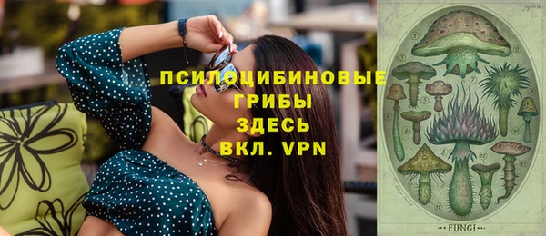 мяу мяу мука Осташков