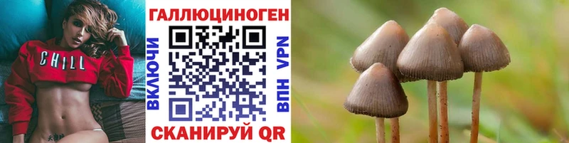 Купить  Татарск  Галлюциногенные грибы GOLDEN TEACHER 